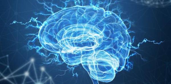 Electricity flow in the human brain can be predicted using the simple maths of networks, new study reveals